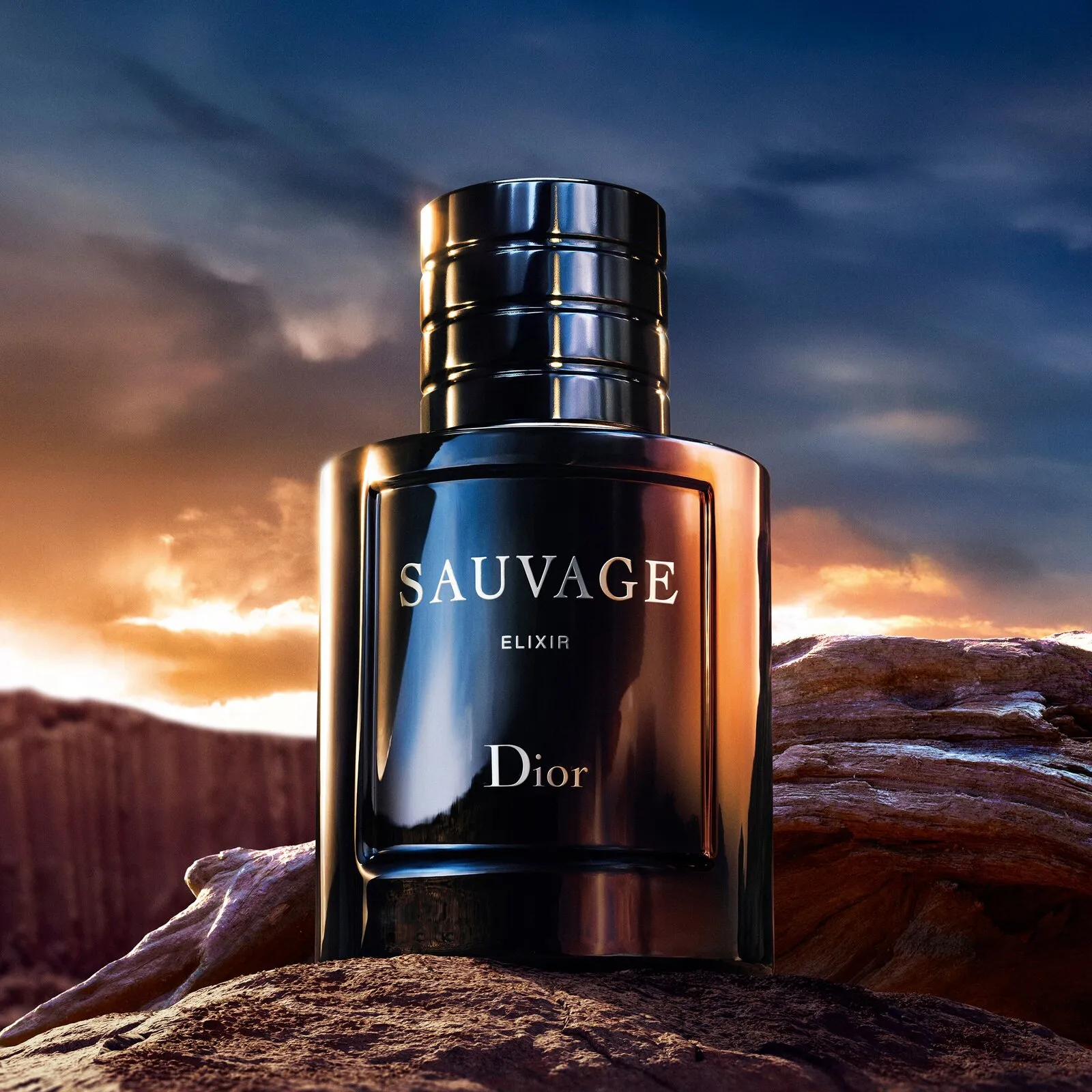 Sauvage Elixir Концентрированные духи  купить в VISAGEHALL