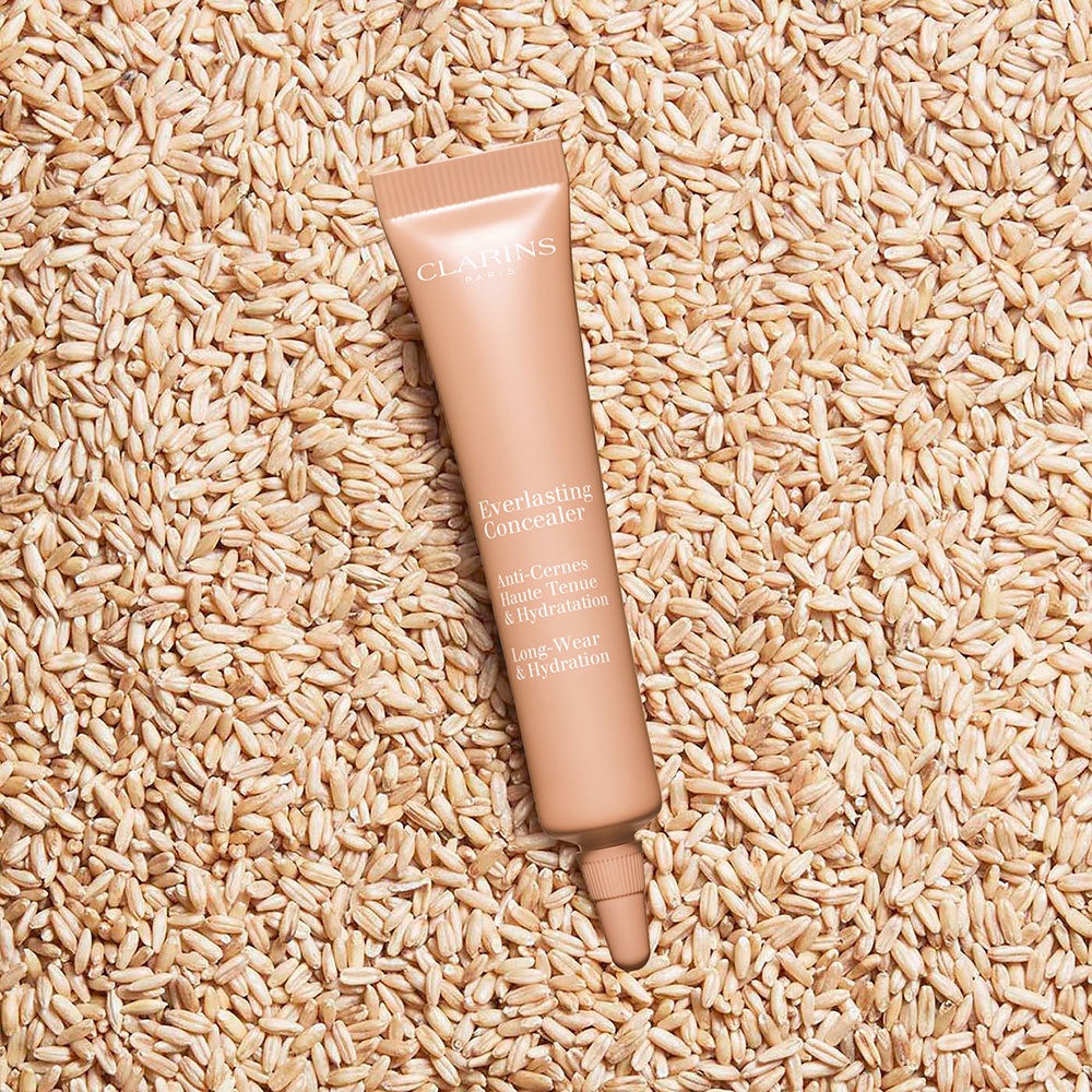 Консилер устойчивый Everlasting Concealer 