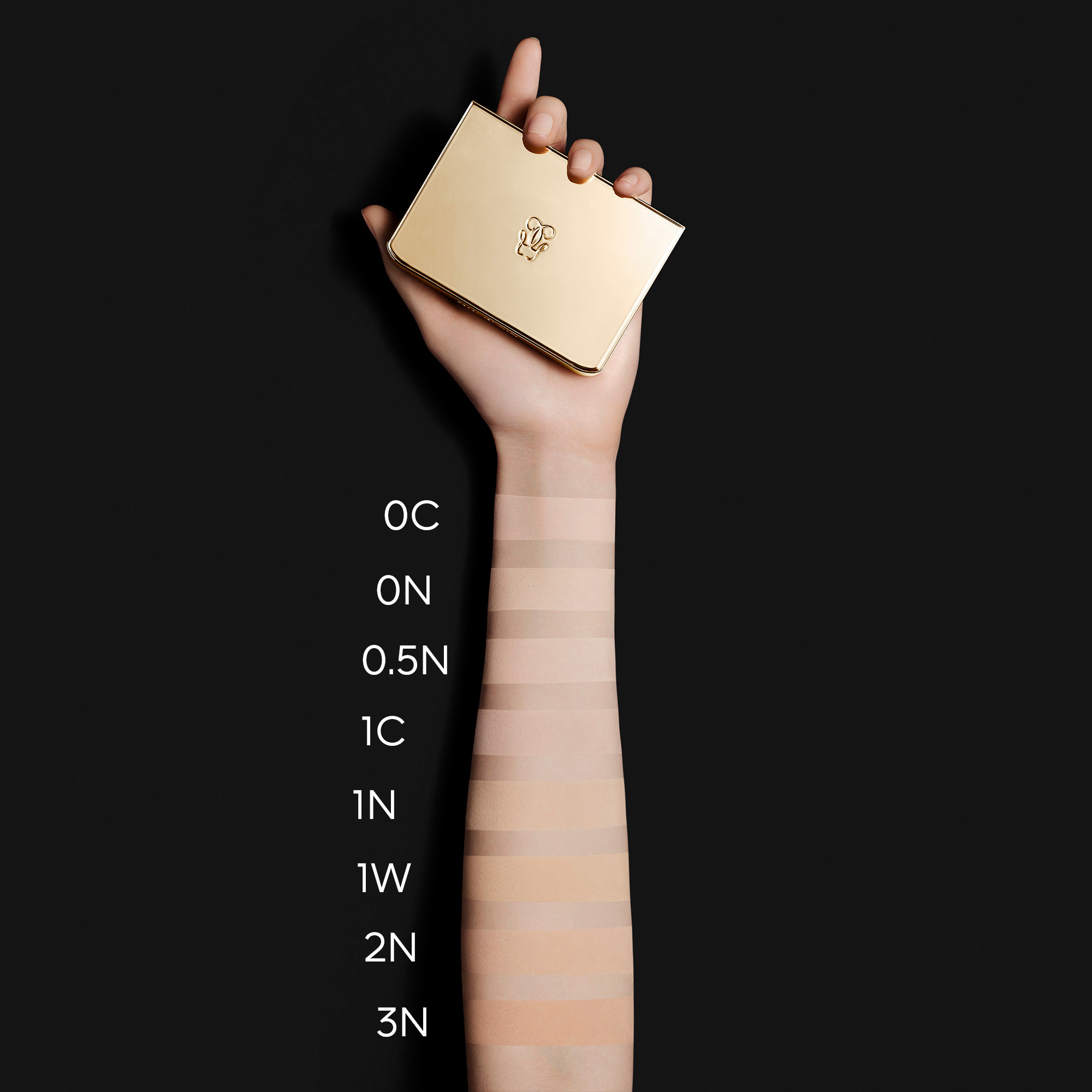 Пудра для лица компактная Parure Gold Skin Control 