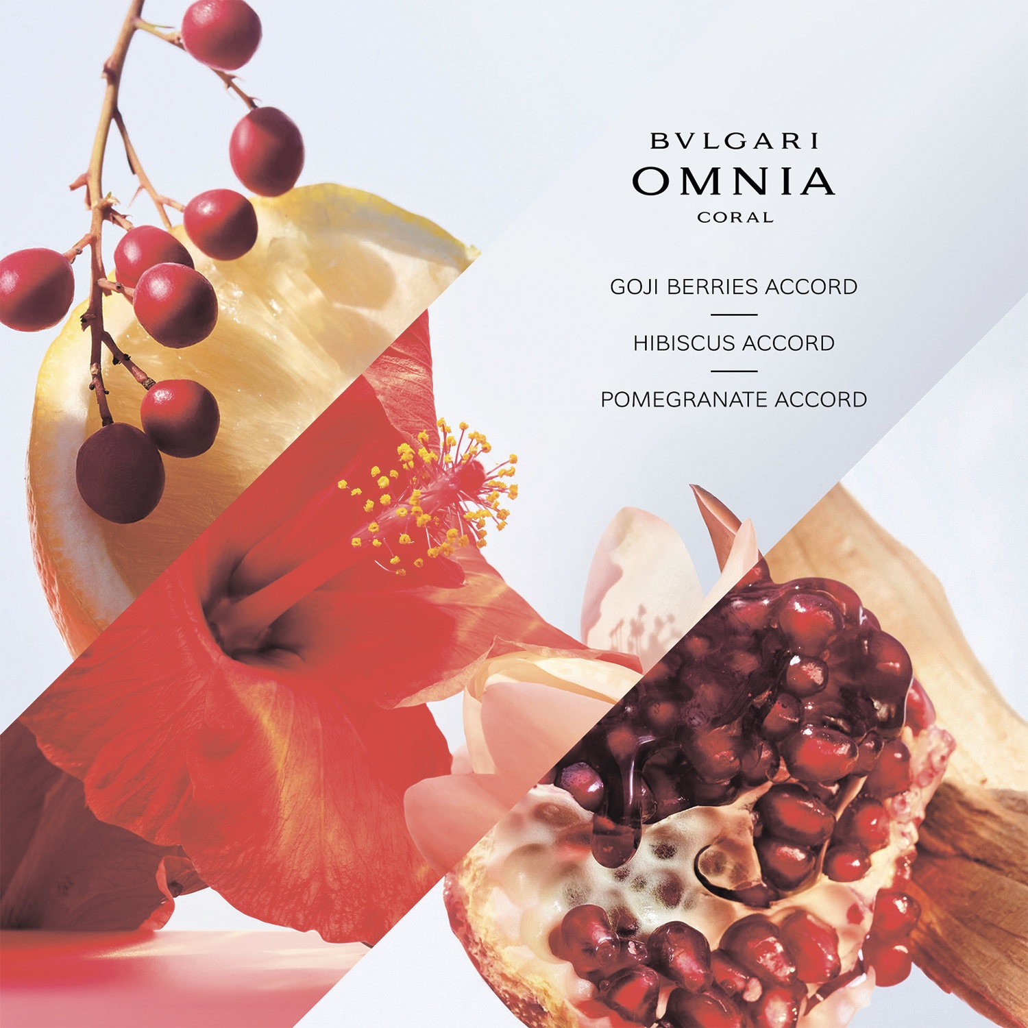 Omnia Coral Туалетная вода купить в VISAGEHALL