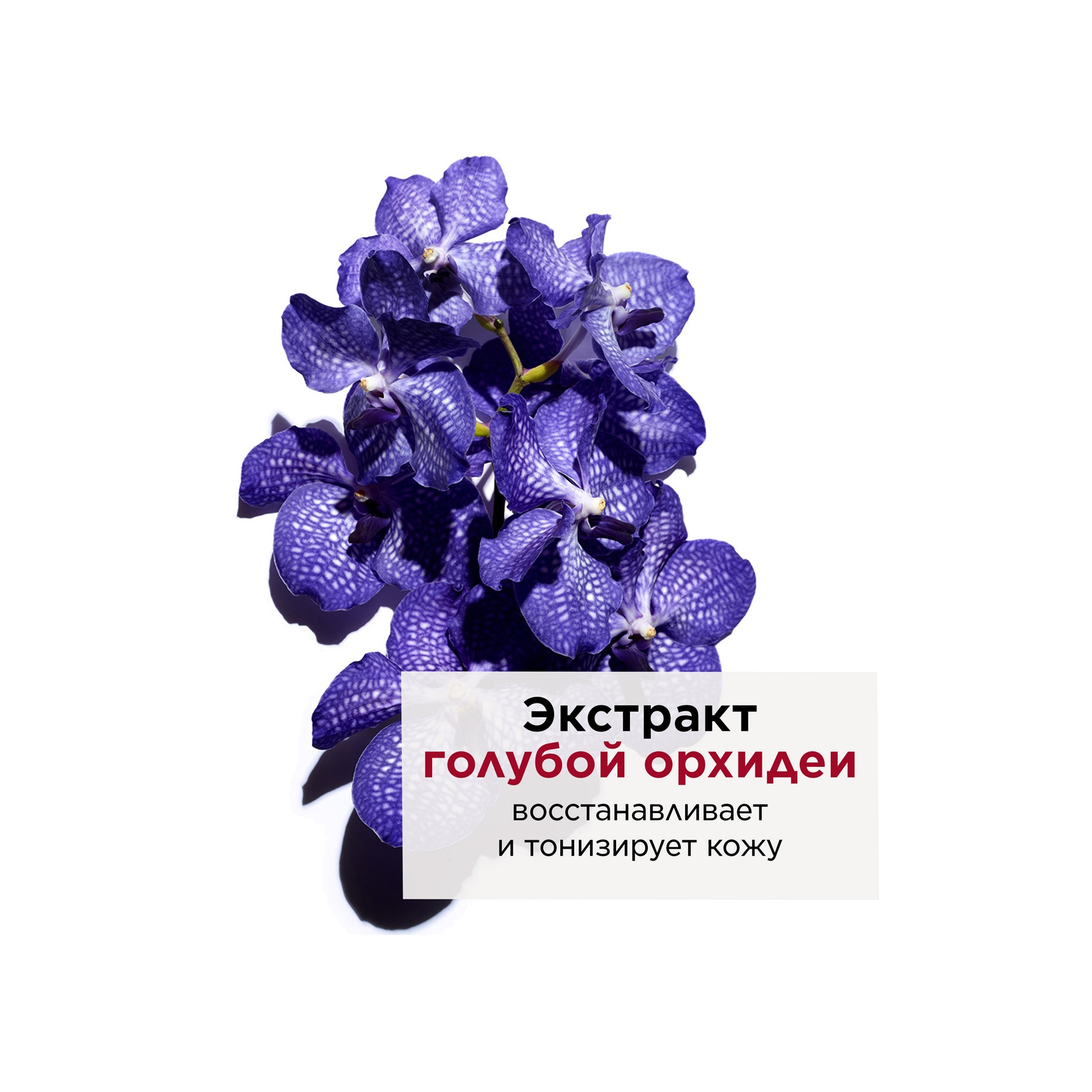 Масло косметическое для обезвоженной кожи Huile Orchid Blue купить в VISAGEHALL