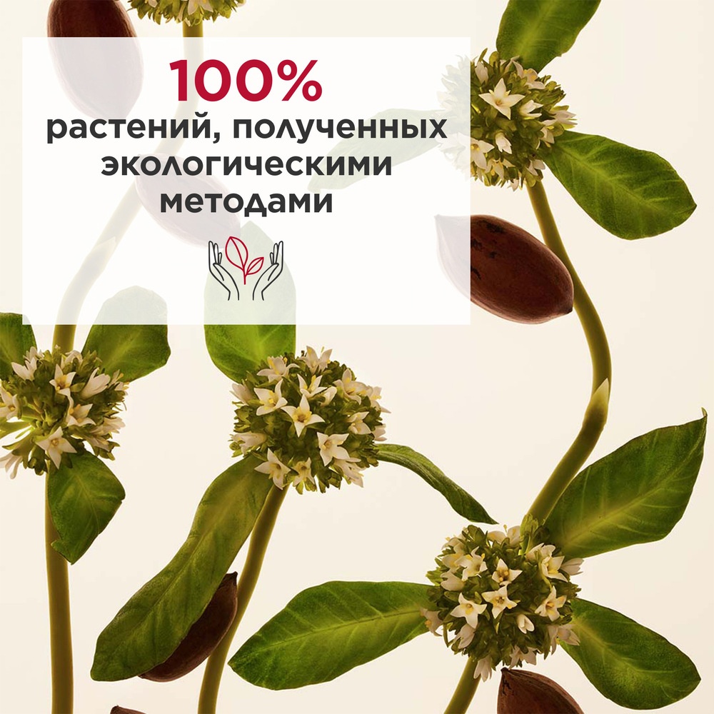 Extra-Firming крем дневной регенерирующий для любого типа кожи SPF15 (сменный блок)