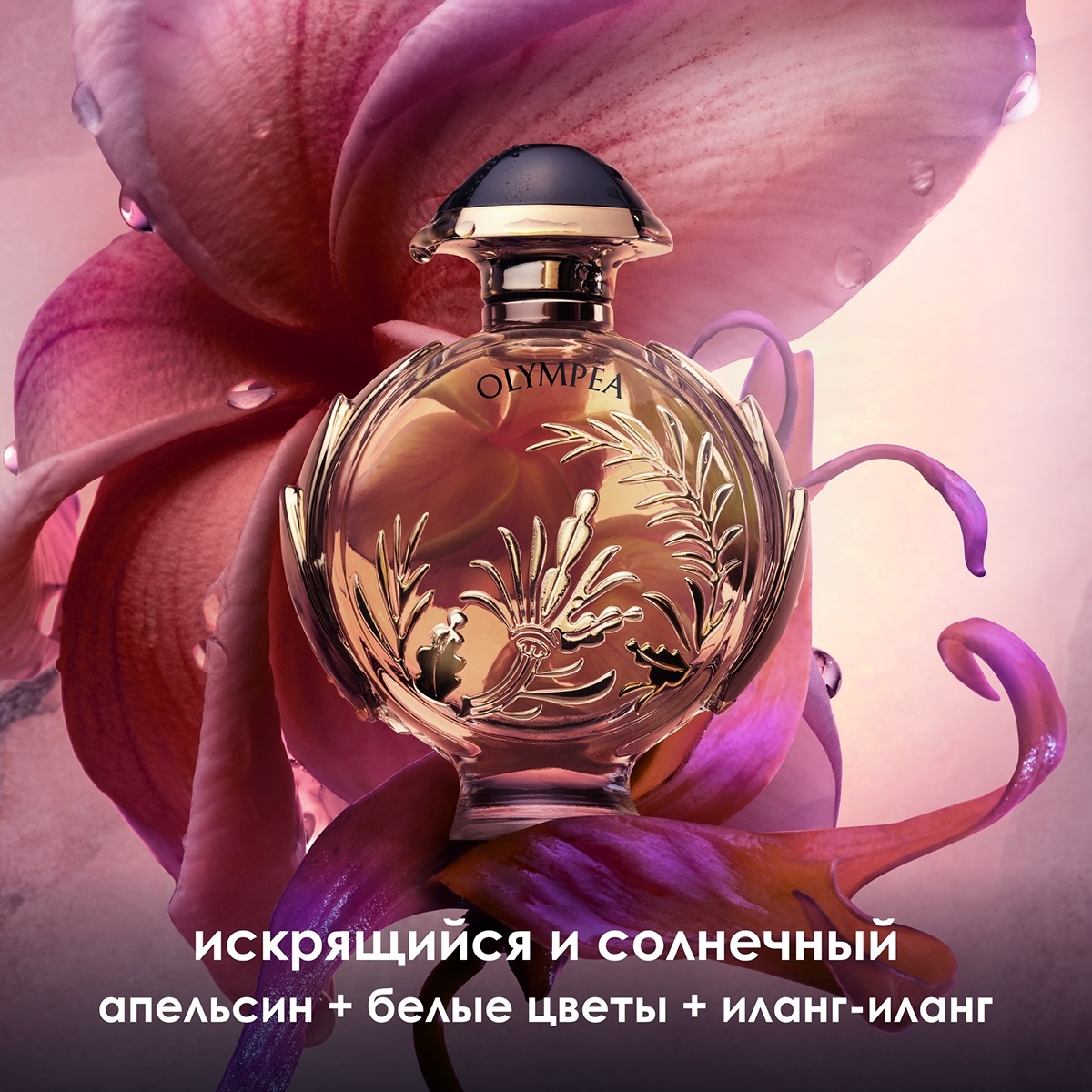 Olympea Solar Парфюмерная вода купить в VISAGEHALL