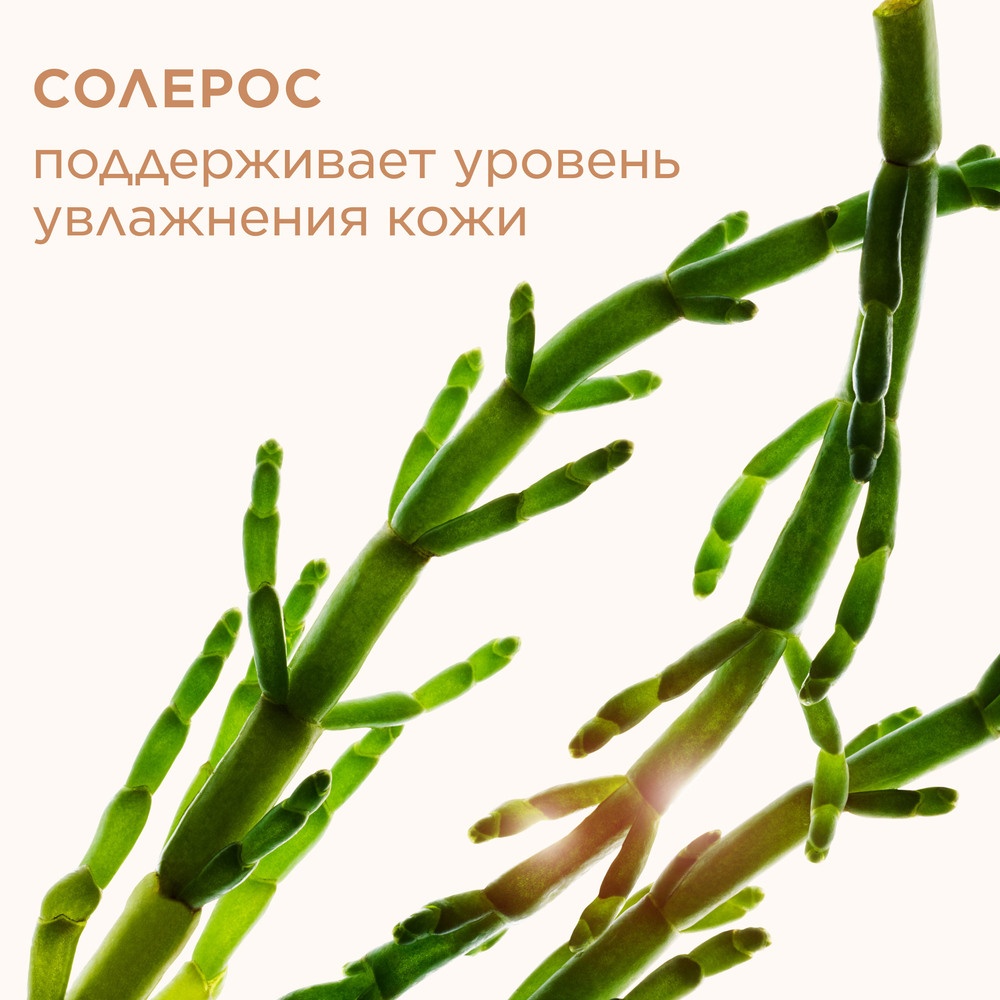 Пудра матирующая компактная Ever Matte