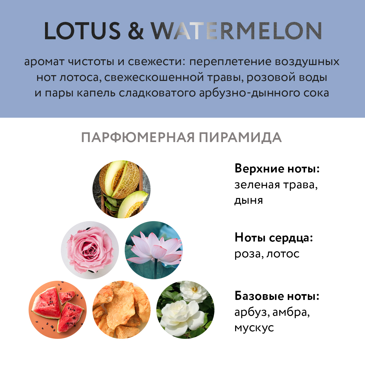 Гель для душа увлажняющий Lotus&Watermelon  купить в VISAGEHALL