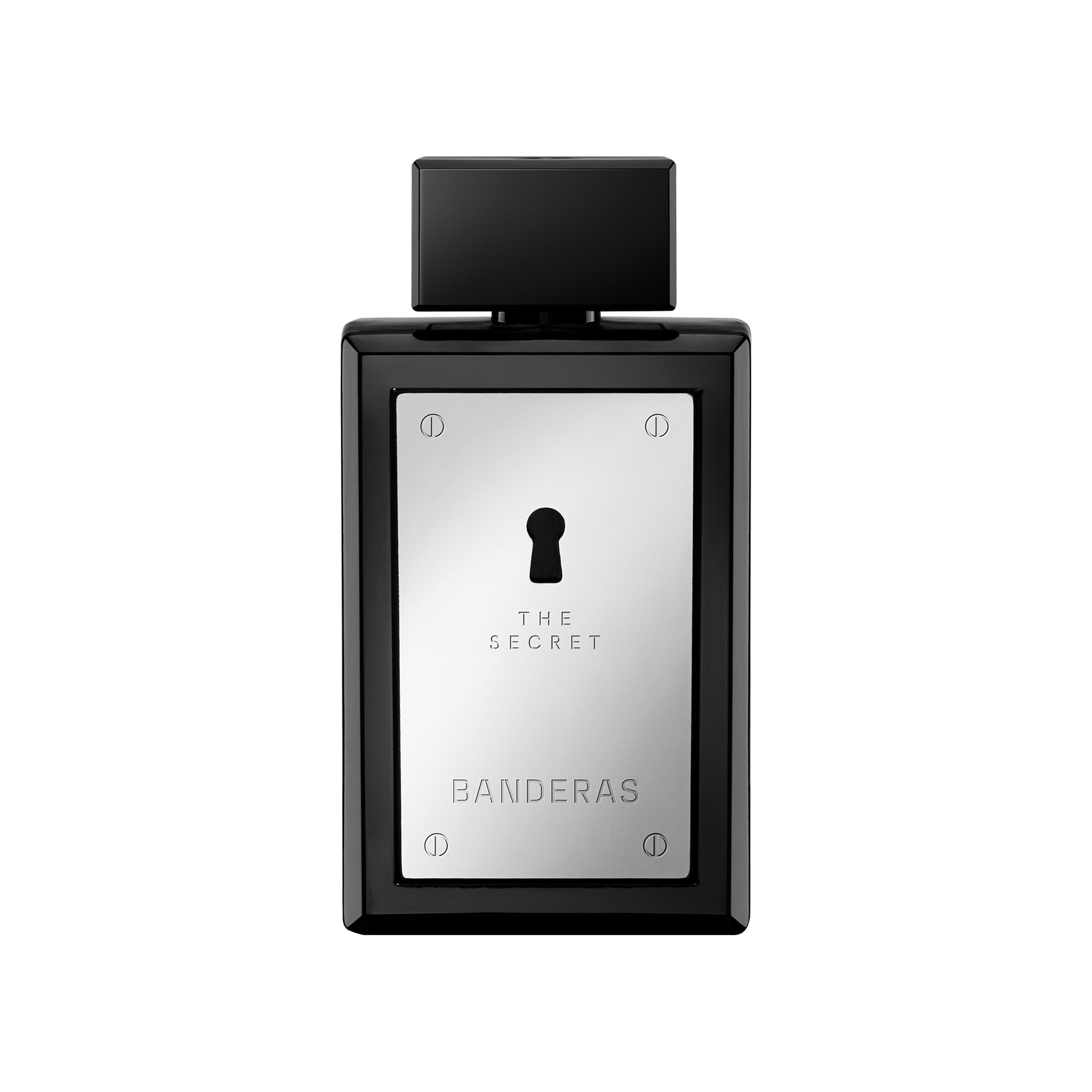 The Secret homme Туалетная вода купить в VISAGEHALL