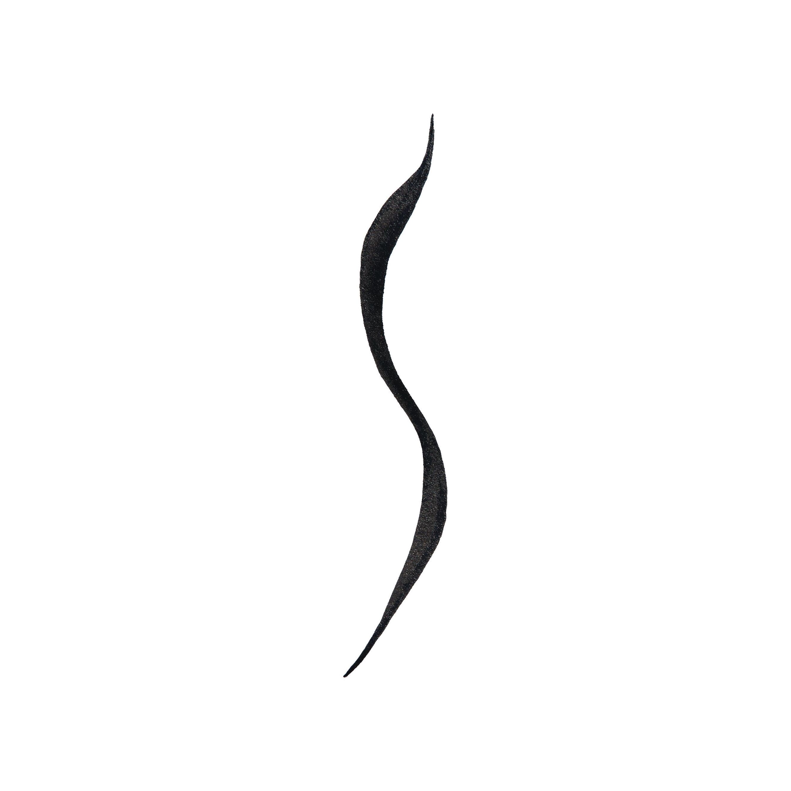 Подводка для век Supreme Black Flick Liner купить в VISAGEHALL