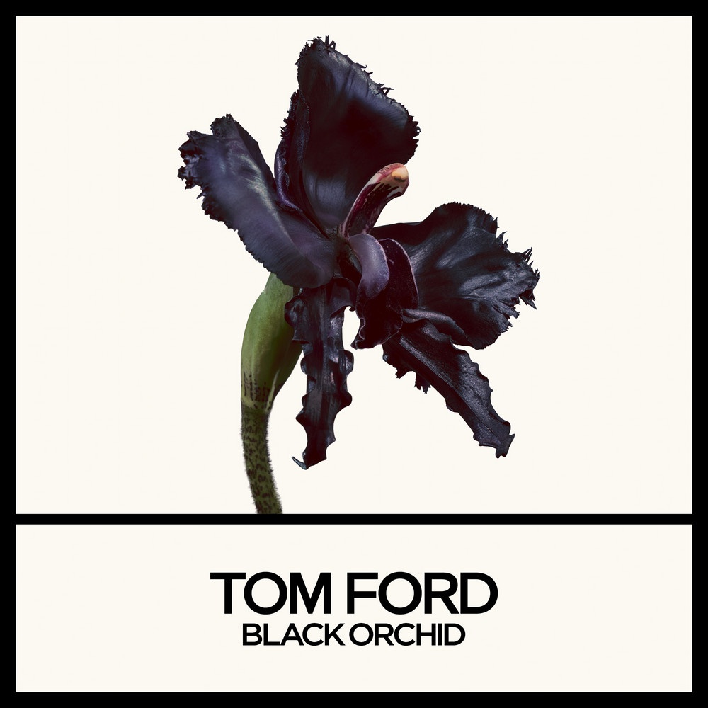 Black Orchid Reserve Духи  купить в VISAGEHALL