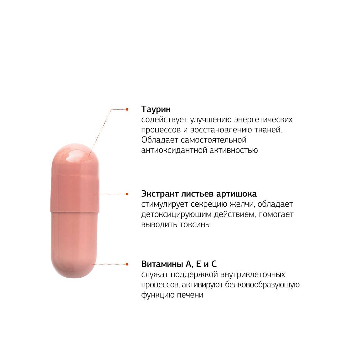ВМК для поддержания здоровья печени Hepato Protector купить в VISAGEHALL