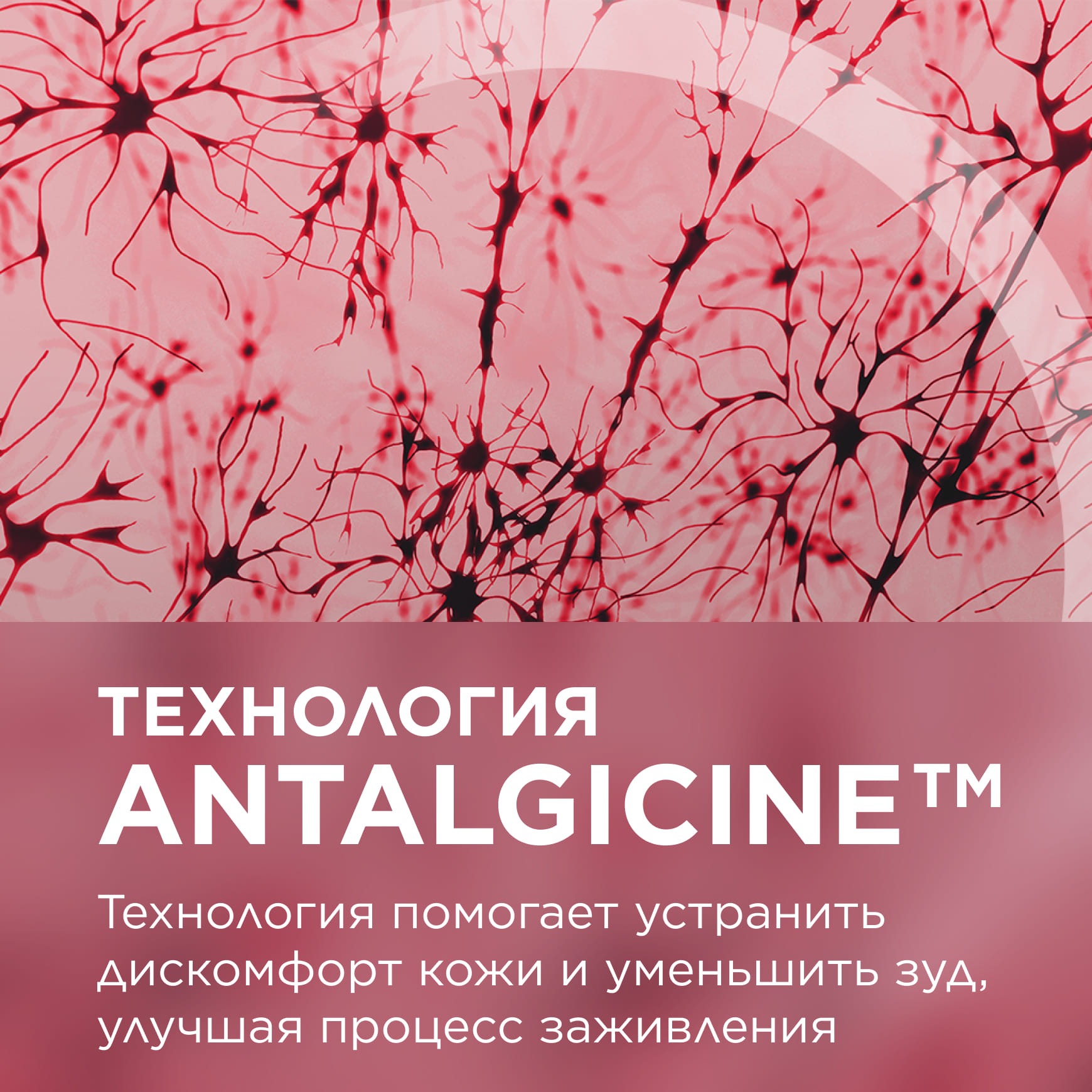 Бальзам восстанавливающий для очень сухих губ Cicabio купить в VISAGEHALL
