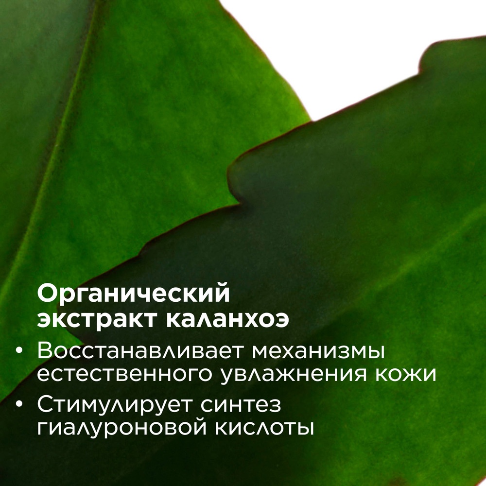 Крем для лица освежающий отшелушивающий Fresh Scrub 