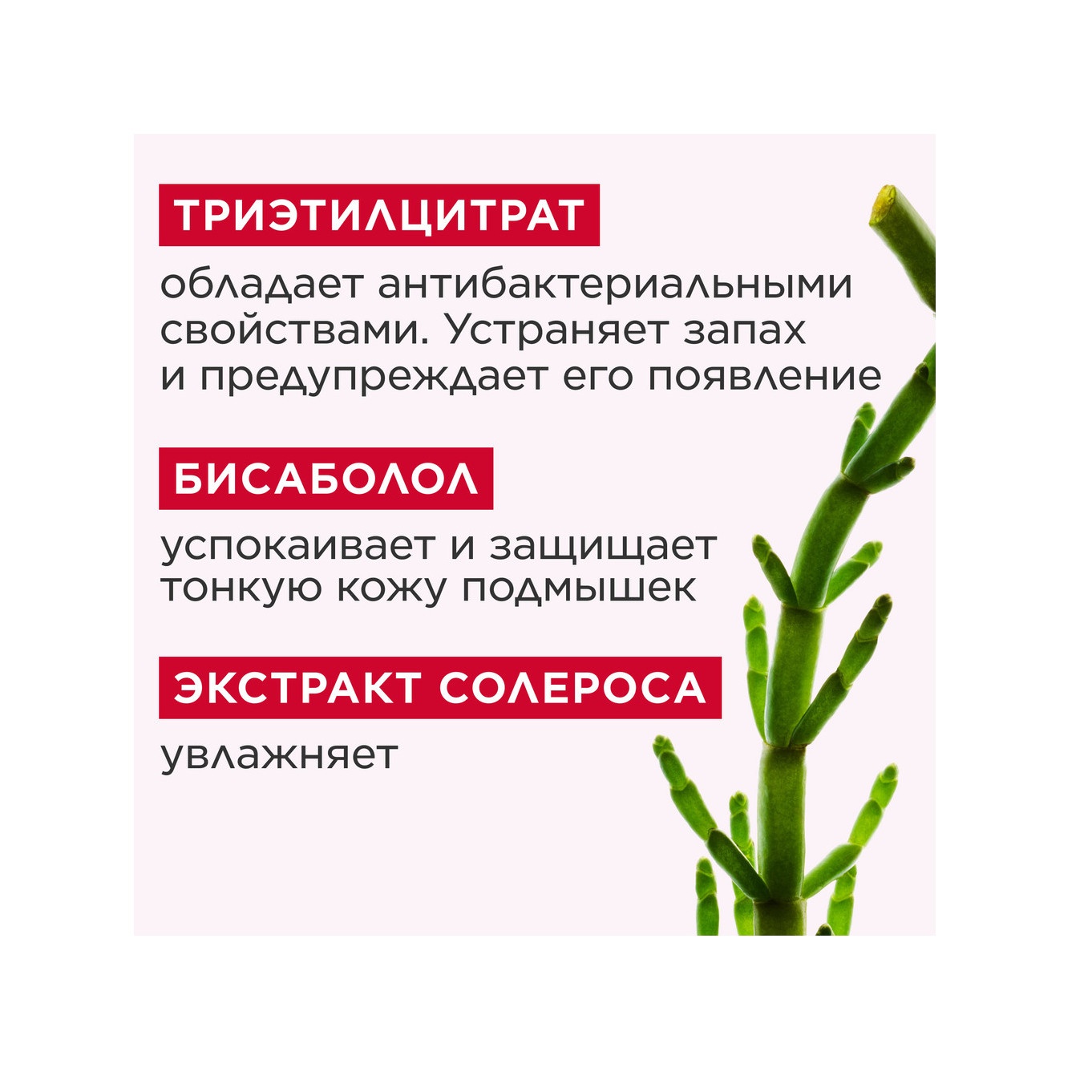 Eau Dynamisante Парфюмированный дезодорант-спрей  купить в VISAGEHALL