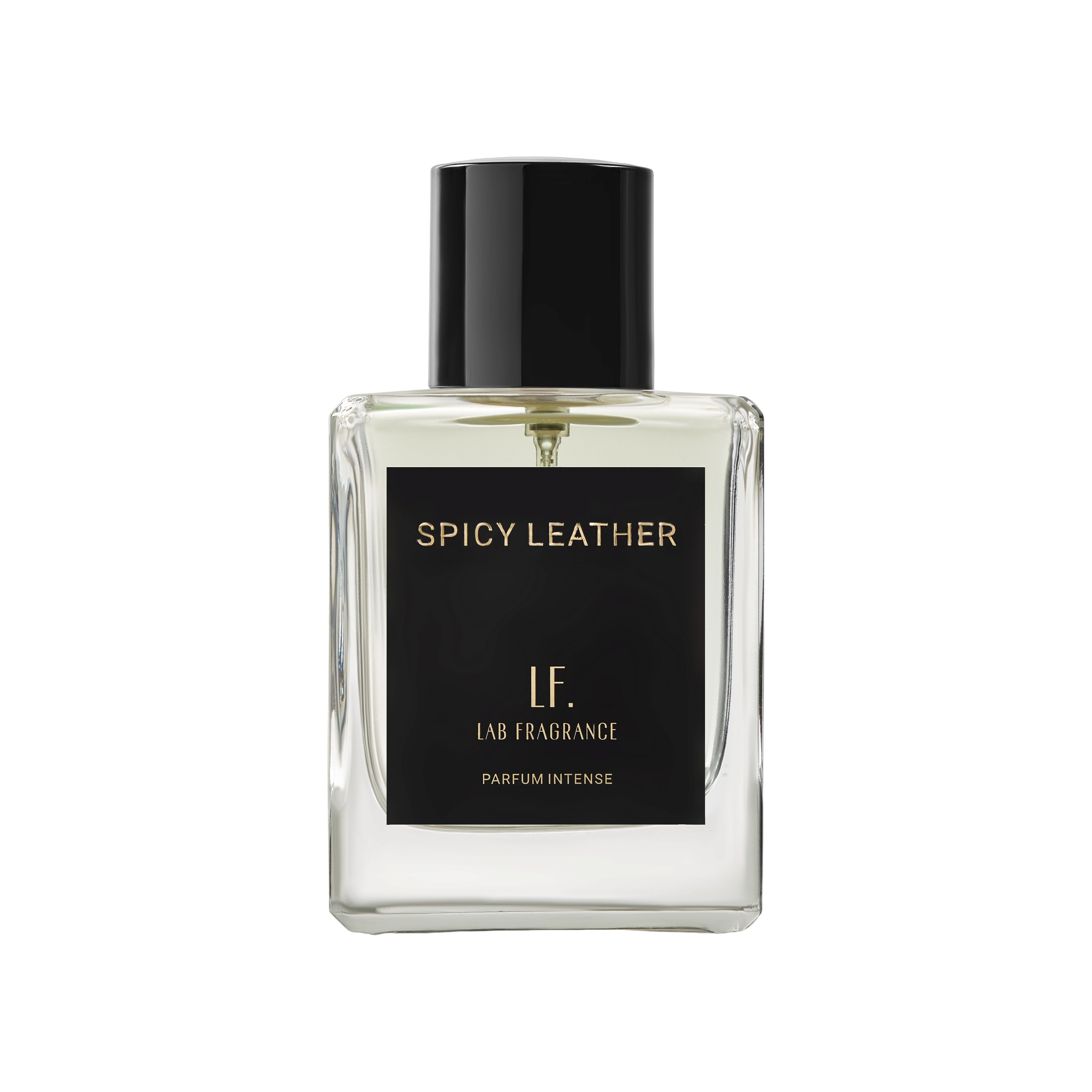 Spicy leather Парфюмированная вода купить в VISAGEHALL