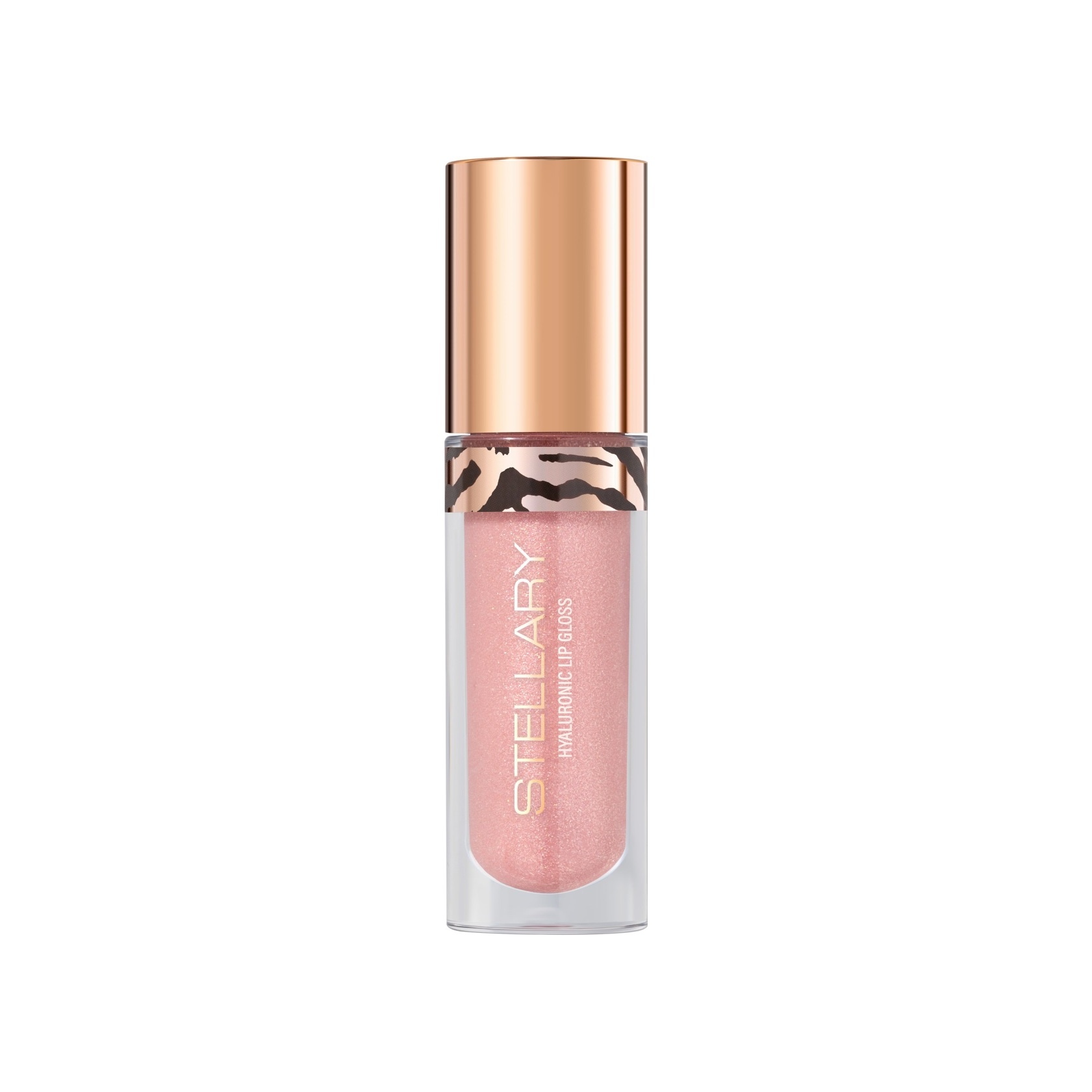 Блеск для губ Lipgloss Big Lips