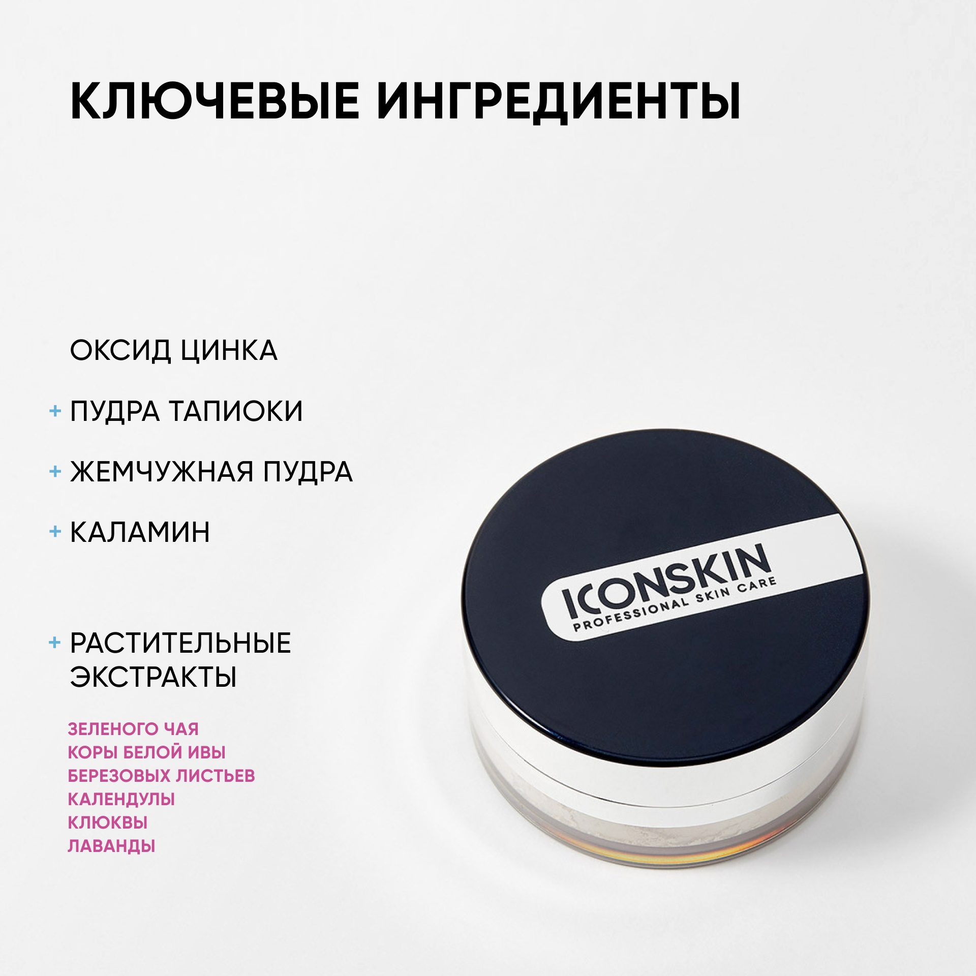 Пудра минерально-растительная себостатическая Sebum Lock купить в VISAGEHALL