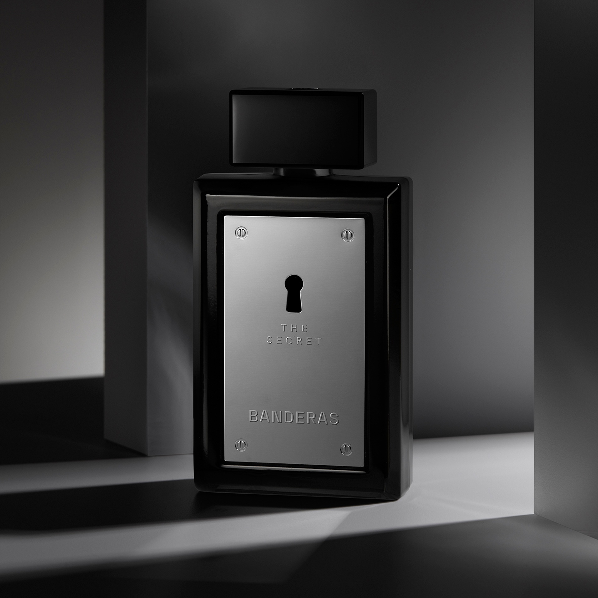 The Secret homme Туалетная вода купить в VISAGEHALL