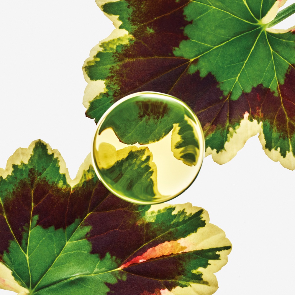 Esencia Elixir Парфюмерная вода купить в VISAGEHALL