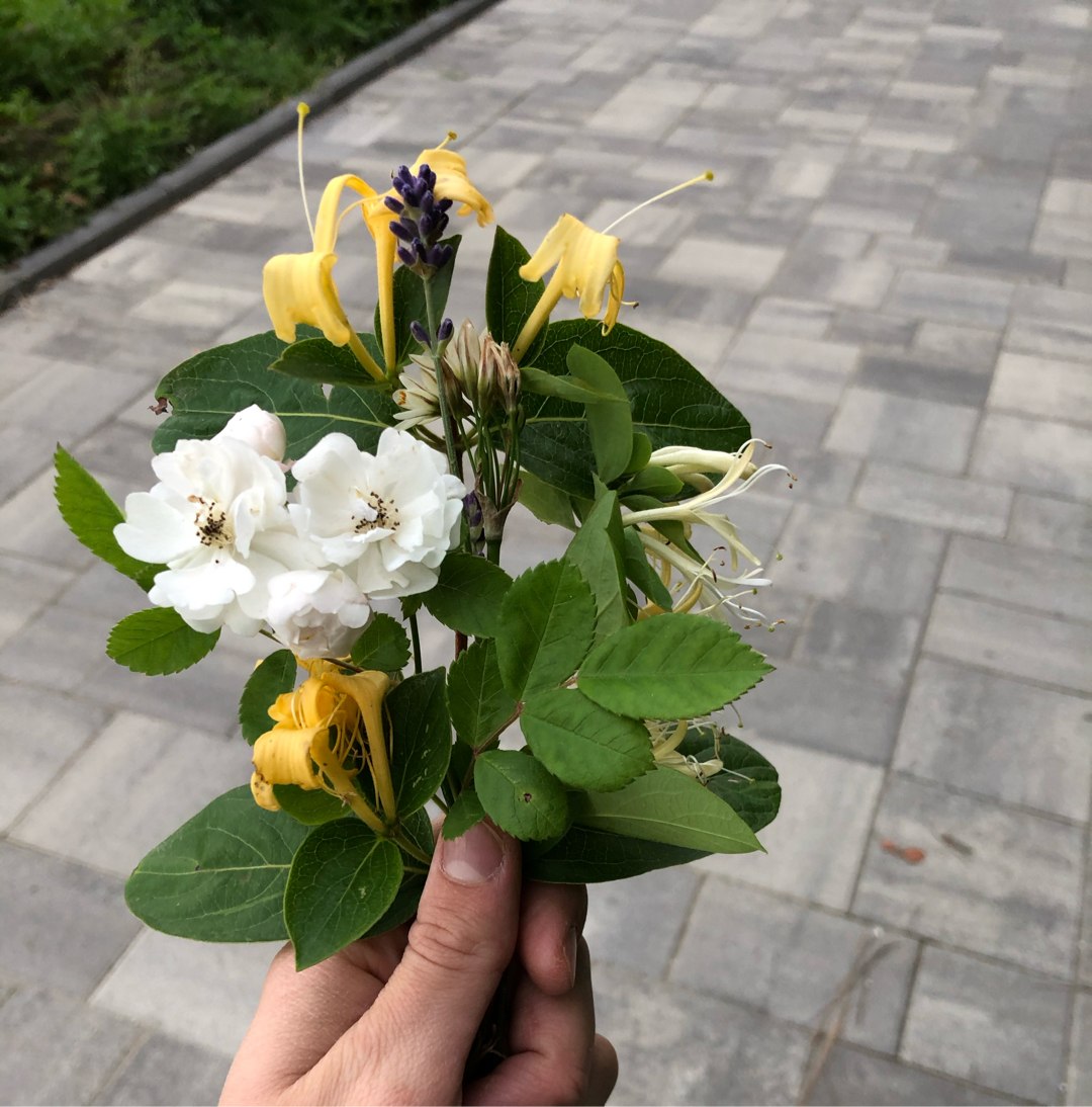 автор