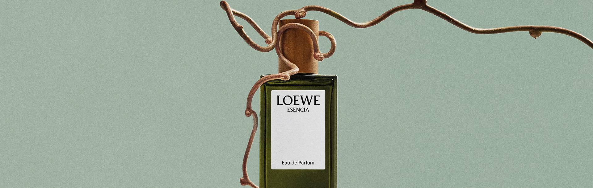 Loewe