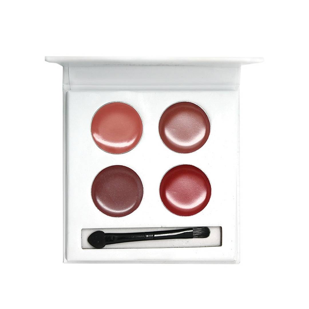 Палетка помад 4 цвета Lip colors pallet