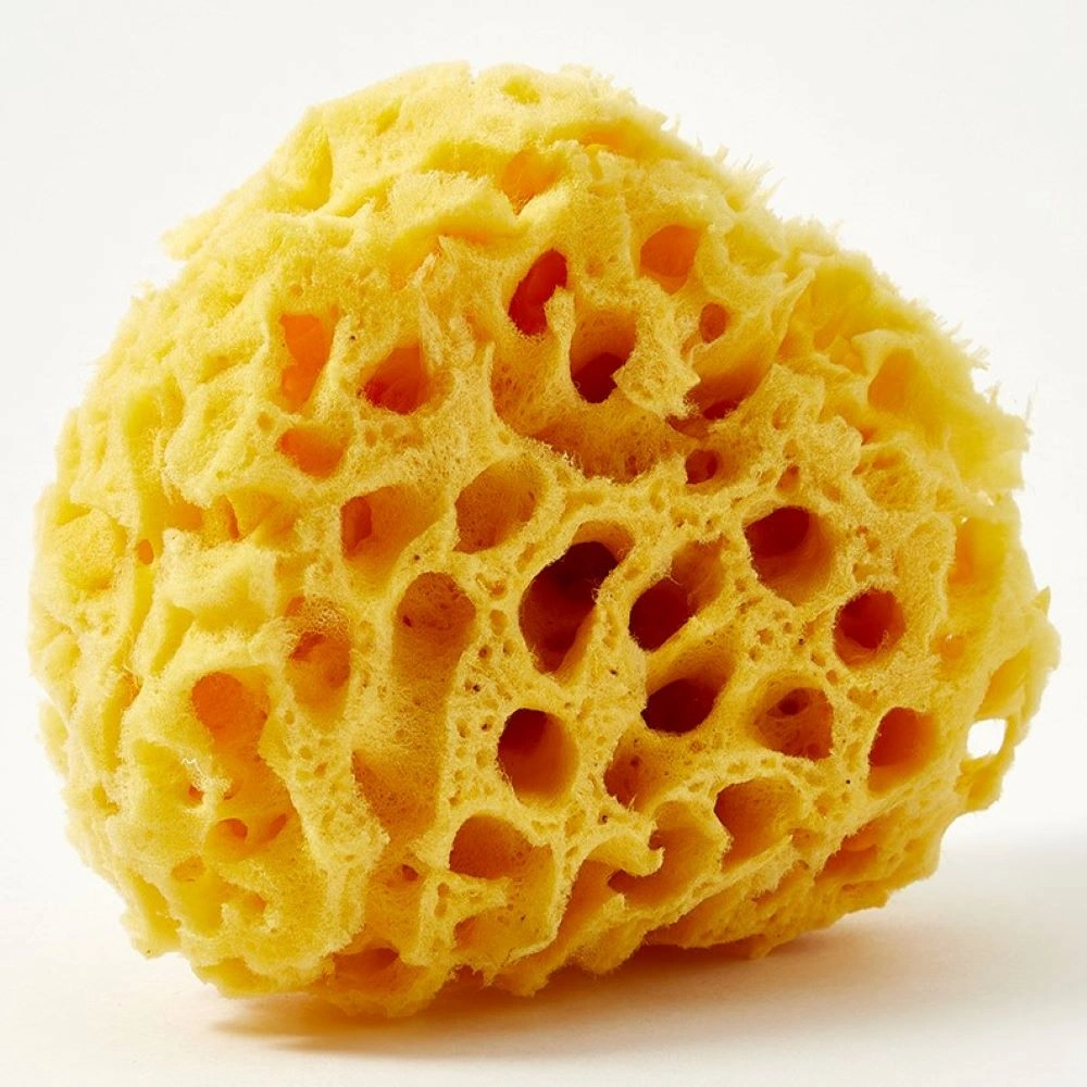 Губка натуральная №12 в Bio упаковке купить в VISAGEHALL