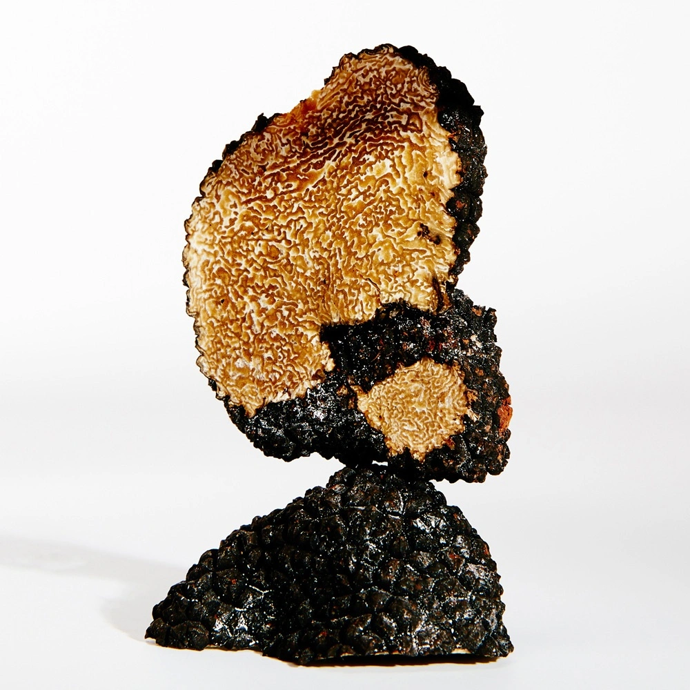 Lowe Earth Подарочный набор  купить в VISAGEHALL