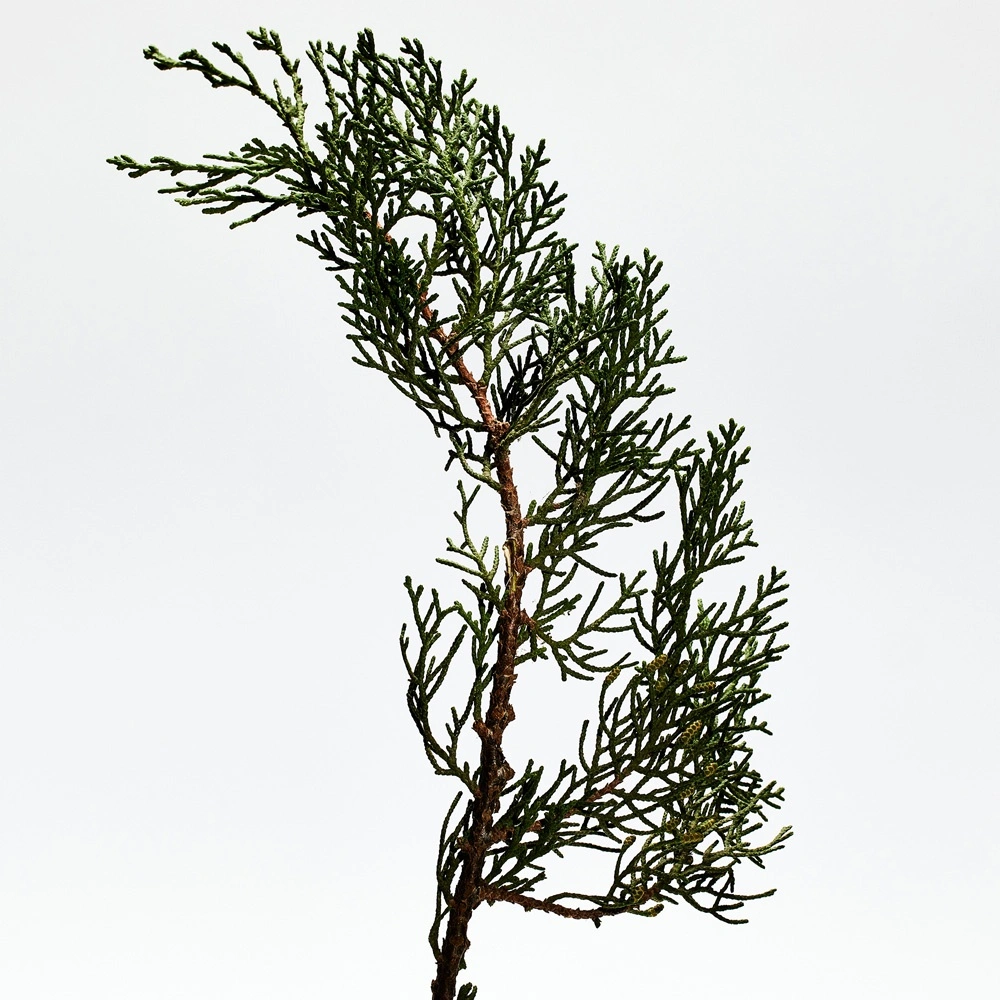 001 Man Парфюмерная вода купить в VISAGEHALL