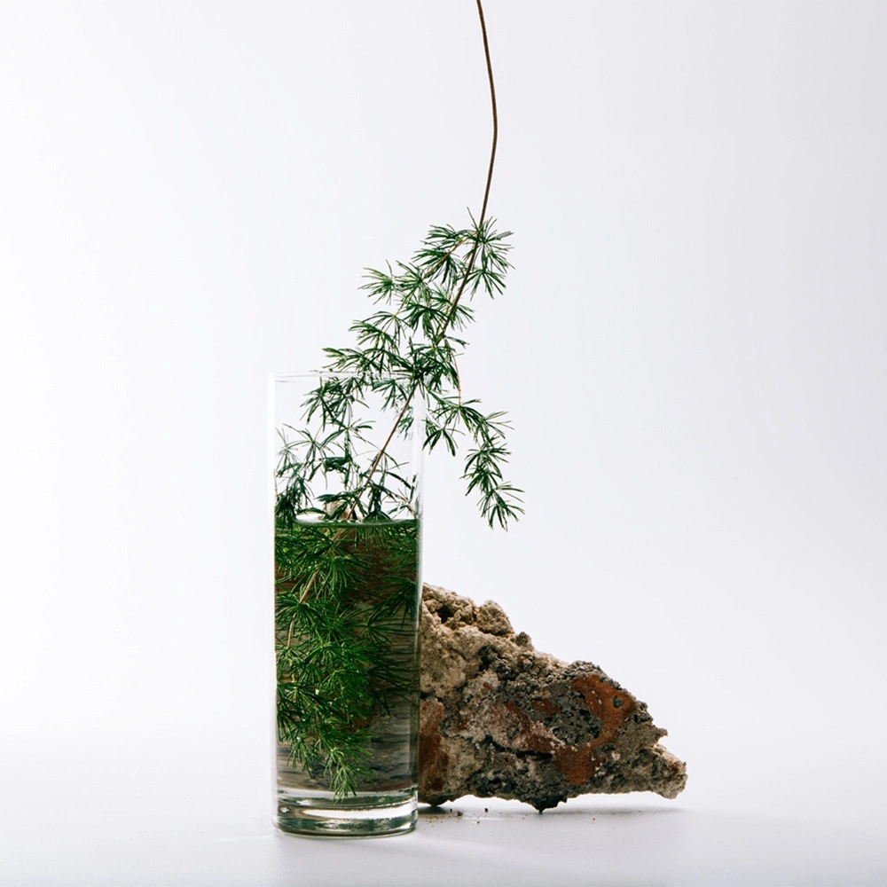 Solo Cedro Туалетная вода купить в VISAGEHALL