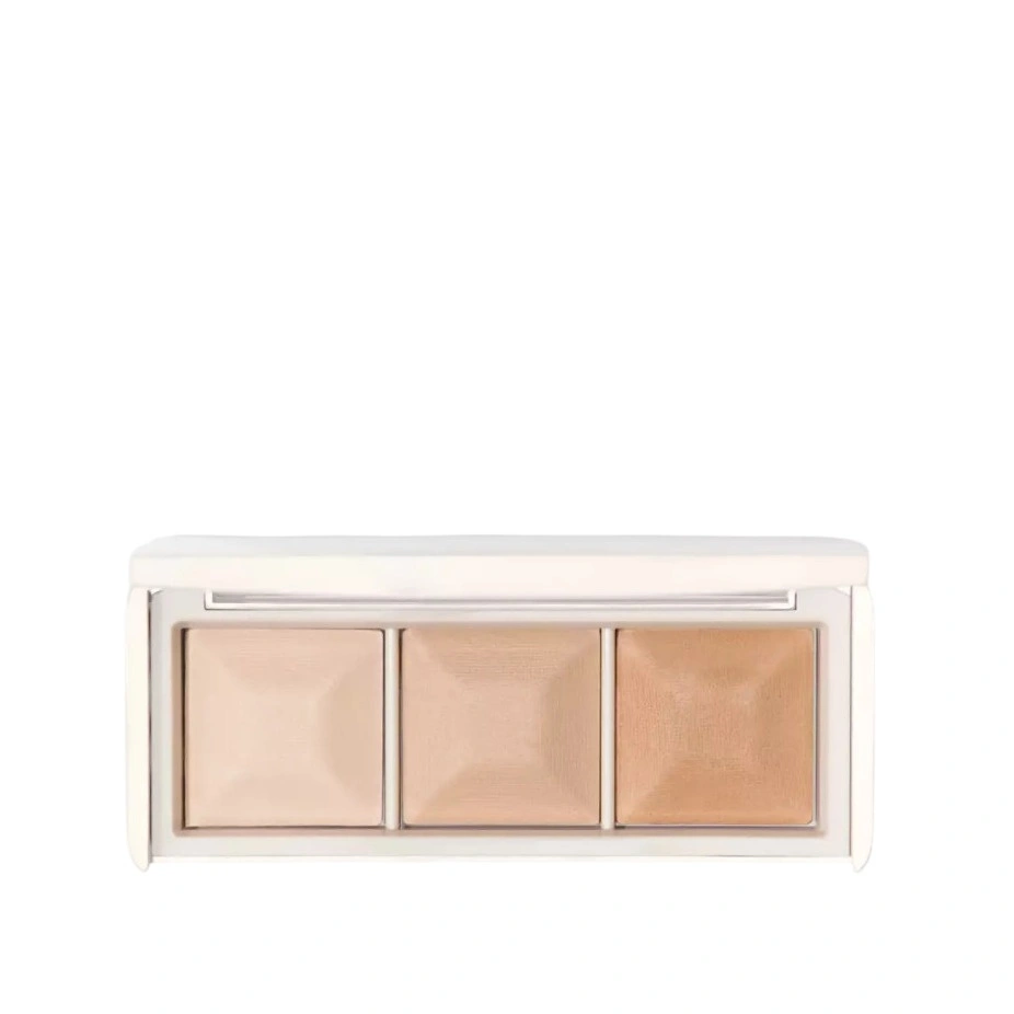 Палетка запеченных продуктов для макияжа лица SHIK studio 01