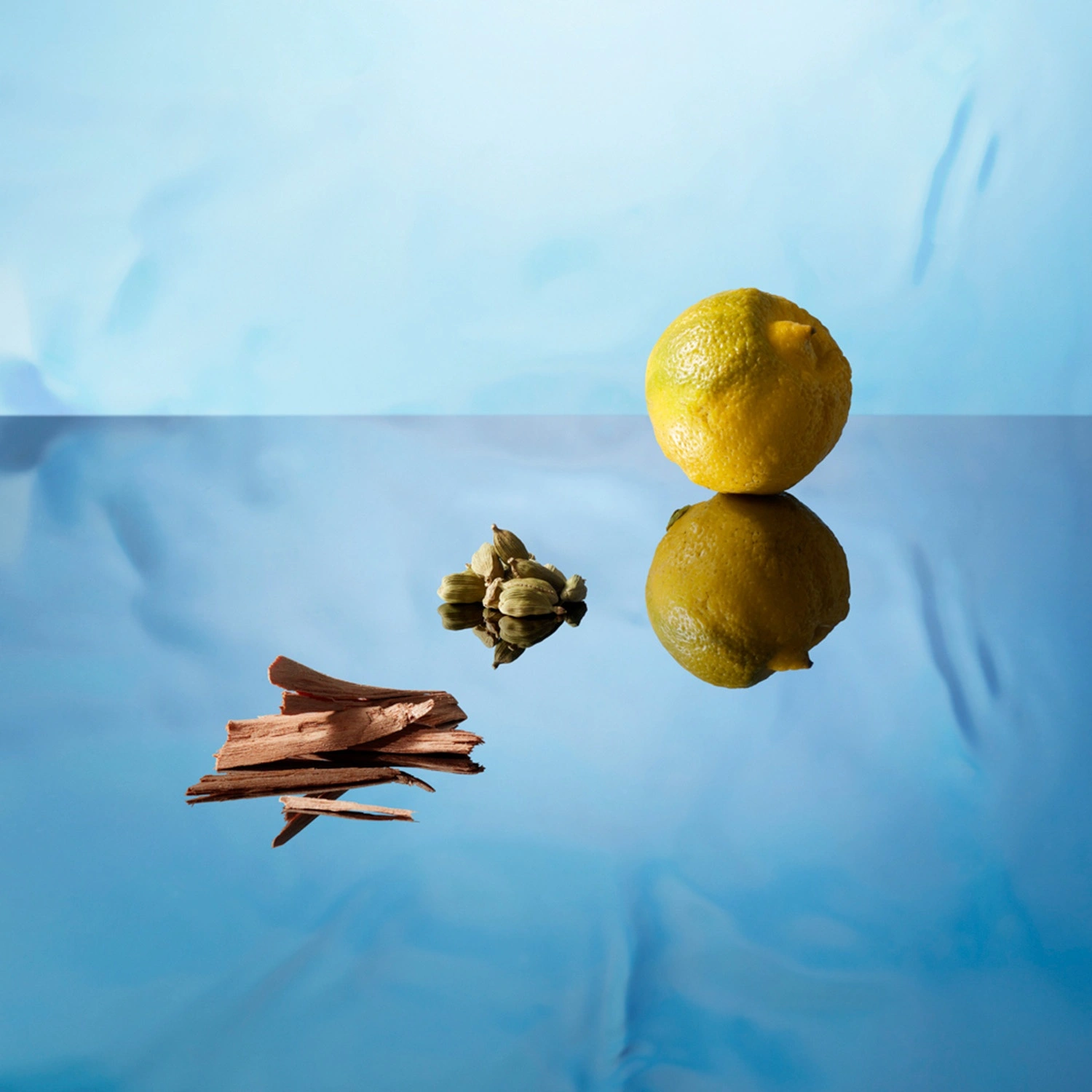 Blue Seduction homme Туалетная вода купить в VISAGEHALL