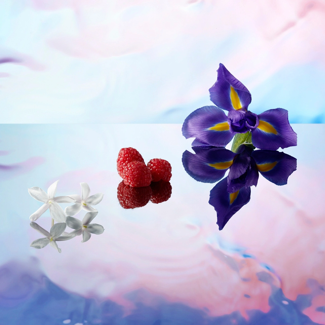 Queen Of Seduction femme Туалетная вода купить в VISAGEHALL